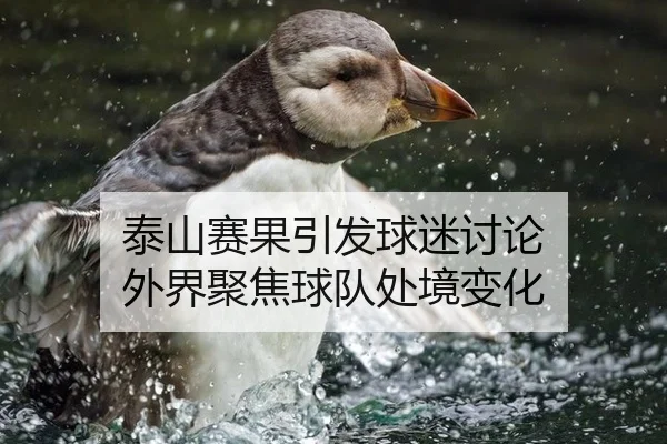泰山赛果引发球迷讨论 外界聚焦球队处境变化